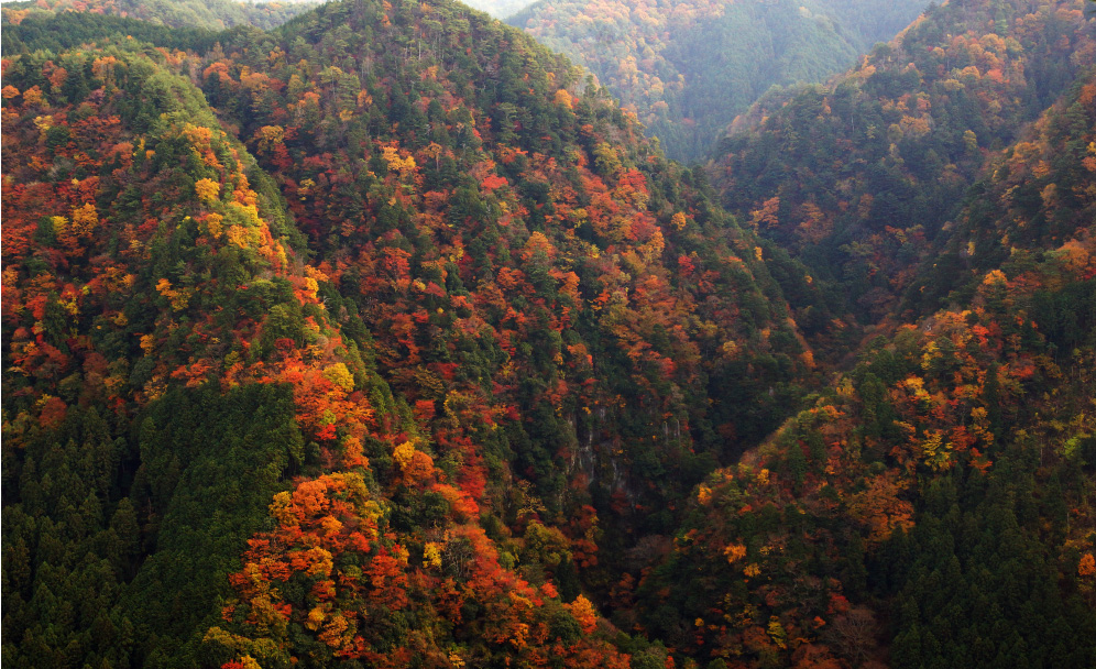 紅葉する山々　Season